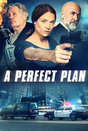 A Perfect Plan Full Movie Download Free 2020 Dual Audio HD